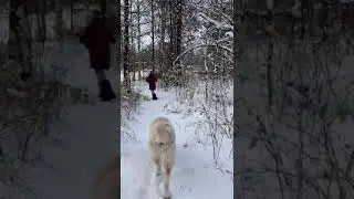 Илай с Дачной, 7 мес