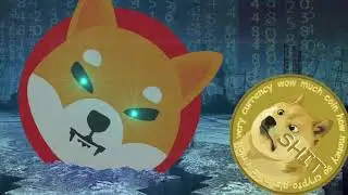 COINBASE JUST DID THIS TO SHIBA INU COIN 