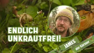Mit diesen Geräten ganz einfach Unkraut jäten! I James der Gärtner