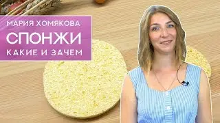 Спонжи - всё, что нужно знать. Как выбрать и как за ним ухаживать?