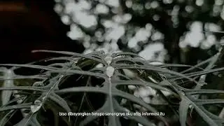 Aku Dan Harapanku