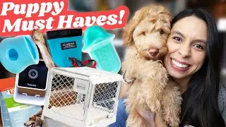 NEW PUPPY SHOPPING LIST👉 Literally ALL of the best things 🙌🐶