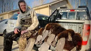 Spring Beaver Trapping 2022 (part #1)