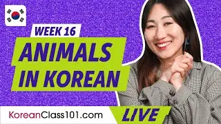 Talking about Animals in Korean! | Learn Korean Vocabulary (Week 16) - Part 1