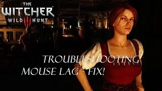 The Witcher 3 | Fix for Mouse Lag at 30fps (German/Deutsch)