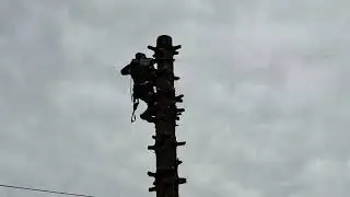 Fenyőbontás Pistivel..