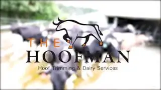 Why The Hoofman