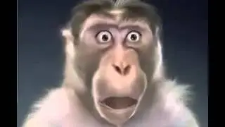 Scimmia che ti dice vaffanculo hahahahahaha