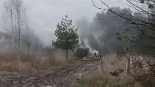 дорога в лесу