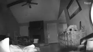Nest Cam Night Vision Orb, Bug or Dust flying at high speed.