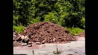 HAMMONS AFTER JAPAN