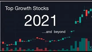 High Growth Portfolio 2021