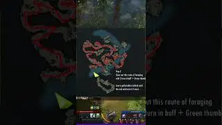 Platinum Fields 101