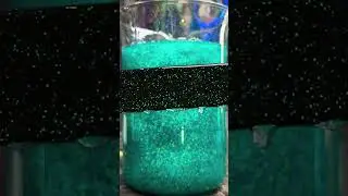 EPIC Laser Cyan Holographic Over Black/Purple HyperShift