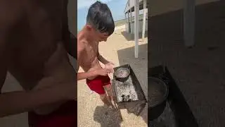 Добываем мидии на Должанке  #должанка #мидии #коса