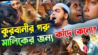 কুরবানীর ওয়াজ,কুরবানীর গরুর কান্না,হাফিজুর রহমান সিদ্দীকি কুয়াকাটা,Hafizur rahman siddiki kuakata