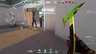 I miss the judge