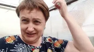 Муж в аватаре, салют из грозы на день Победы