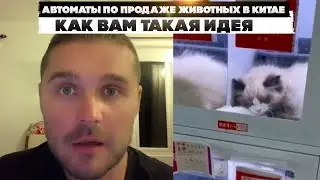 Автоматы по продаже животных в Китае. Как вам такая идея.