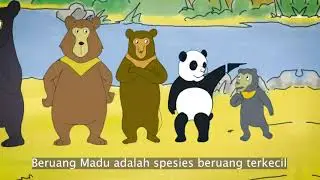 7 Little Known Malayan Sun Bear Facts!