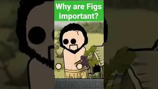 Why are FIGS important? 