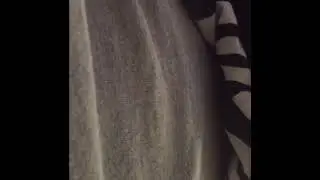 Baby hiccups in my belly 8 months