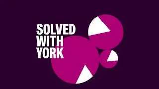 York Internships: working for your business