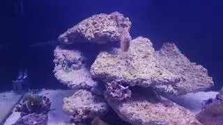2100 liter after almost one month
