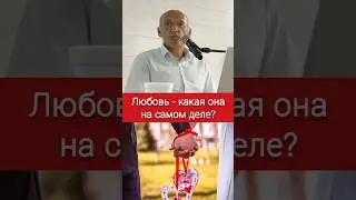 Любовь - какая она на самом деле? - О.Г. Торсунов