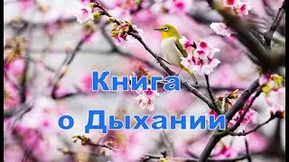 Книга о дыхании