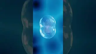 Your DNA Has a Shocking Secret