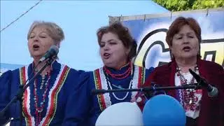 Гуляй, станица! Муз. -Алексей Гарнага, сл. - Николай Черногорец. Видео - Николай Черногорец.