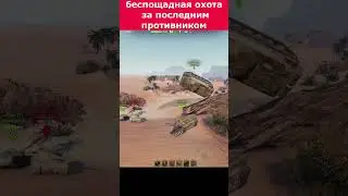 в погоне за последним врагом 
