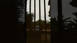 6 de enero de 2024