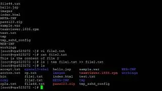 How to redirect output of a command to one existing file and one new file