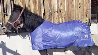 Was kann die Accuhorsemat eigentlich?