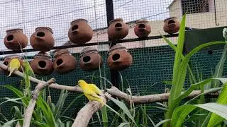 Our visit to My Dream Garden Bangalore