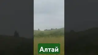 Горы Алтая.
