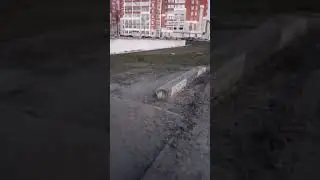 Немного Фокинского❤ Вечер❤