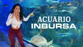 ACUARIO INBURSA in Mexico City is AMAZING!!!