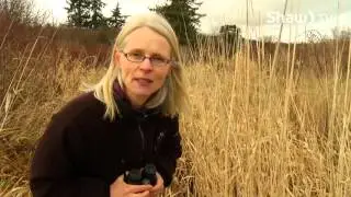 DYK Birdwatching - Shaw TV