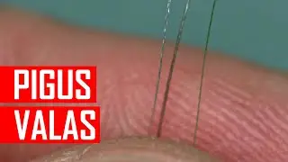 Pigūs ir ploni pinti valai UL ešeriui, sterkui, šapalui