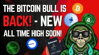 The Bitcoin Bull is Back - New All time High Soon! 🚀🌒