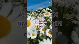 #утро #сдобрымутромихорошимднем #утродоброе#музыкальнаяоткрытка