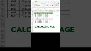 How to Calculate Age in Excel. 