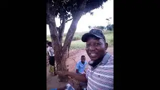 UN COMPATRIOTE FAIT REPORTAGE AU VILLAGE DU PRESIDENT FELIX TSHISEKEDI TSHILOMBO