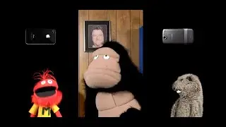 Синдром вертикального видео