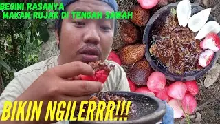 RUJAK JAMBU AIR SAMBAL GULA AREN || DI PINGGIR SAWAH