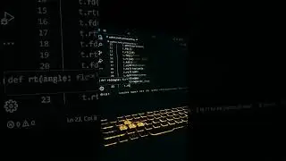 crazy python turtle graphics animation