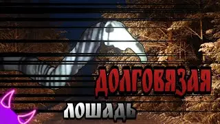 ➪Кто такая долговязая лошадь (scp объект)